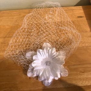 Birdcage veil never used
